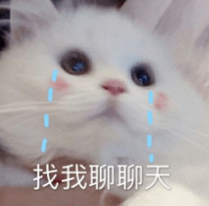 日常表情包最近天冷了,我想申请加入你的被窝