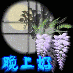 晚上好图片大全祝福晚上好的动态图片一声晚安,一份挂念