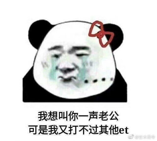 偷我表情包偷偷