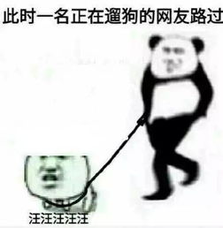 友吃tcmfmd健康管理丨内脏脂肪看不出来的胖,才最可怕
