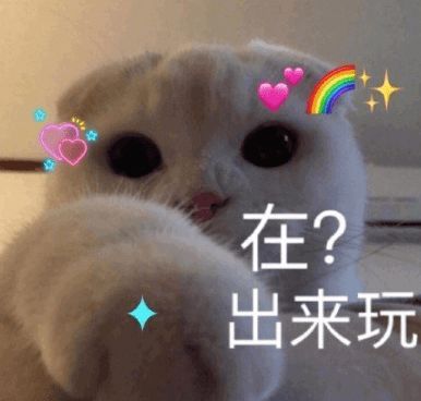 女朋友的梦想是站着...好家伙,这是想当兄弟了