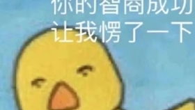 当你想出去玩妈妈却不让你出门...淦禁止监视我的生活