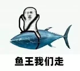 再破记录徐州云龙湖钓出184斤大鱼,身长1.7米,拍照后放生