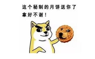 月饼盘点大赛这个中秋你会吃什么月饼呢