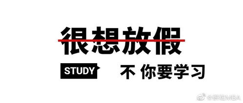 考研人拒绝躺平表情包合集