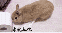搞笑的聊天表情包