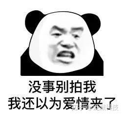 微信拍一拍功能上线,今天有人拍你了吗