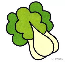 百姓关注倒计时48小时,菜博会最隐蔽的内幕终于曝光了