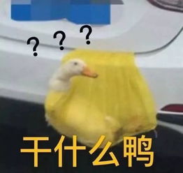 表情包当代人脸上根本没什么表情