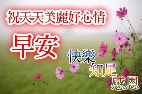 非常漂亮早上表情好最新早上表情包大全