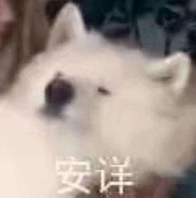 恶之花表情包图片双面女王