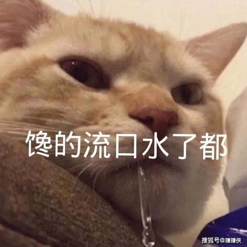 可爱表情包图片好了,你要再说了