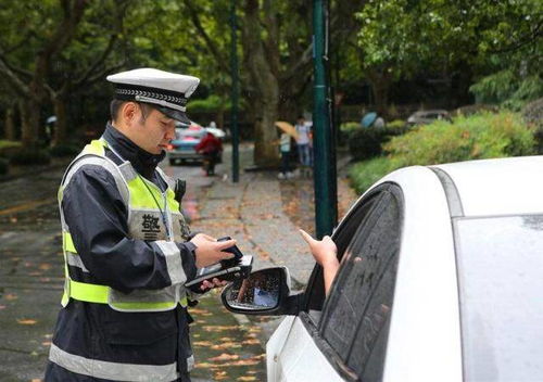 一张违停罚单,可以管多久交警给出了答案,网友被贴了一车窗