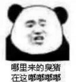 萌宠萌娃表情包太冷不想打字,你懂我意思吧