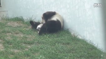 挠痒