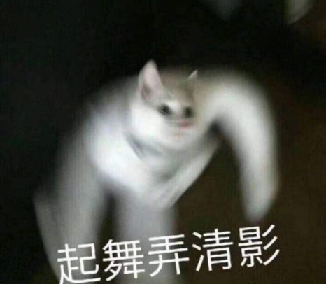 穿裙子被抓穿泳衣被打,打扮妖艳就得送去女德洗脑