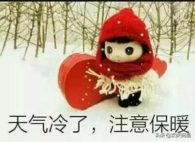 微信贴图表情包问候