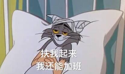 猫和老鼠表情包扶我起来,我还能加班