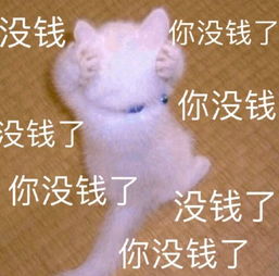 没钱了表情包没钱了微信表情包没钱了qq表情包发表情fabiaoqing.com