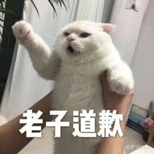 如何评价章若楠个人