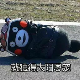 天气热的图片表情
