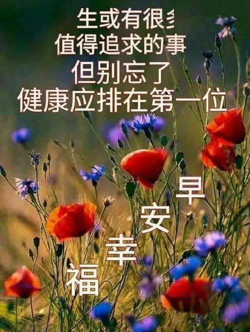 微信早晨好问候语动态表情图片,漂亮的鲜花早上好问候祝福语