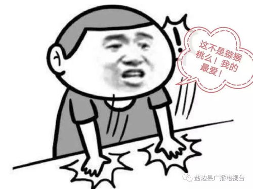 盐边这个基地,全攀唯一