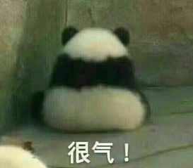 tm的烦死了表情包熊猫