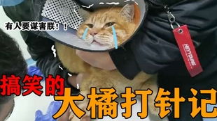 黄白尊老爱幼纪实