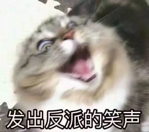 成都出发3天2晚看千年冰川泡温泉,还能躲雾霾