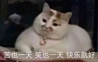 这片子要偷偷看,不要让你老板知道