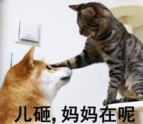 手足口病即将进入流行季孩子有这些症状要注意