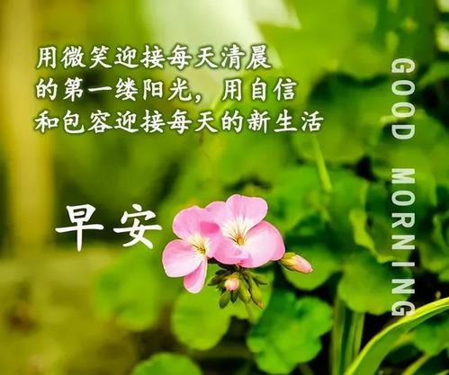 微信早上温馨问候语