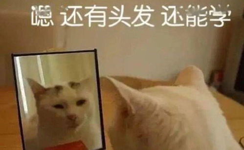 期末来啦来签收小5备考指南吧