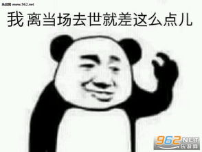 tm的烦死了表情包钢铁直男