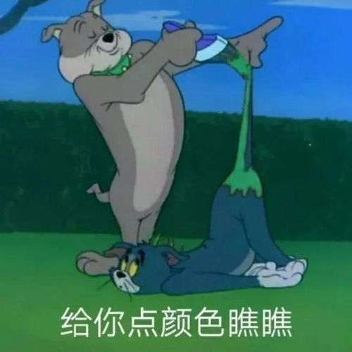 猫和老鼠表情包,汤姆又逗笑我了