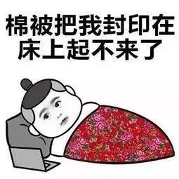 这是一份早起专用表情包