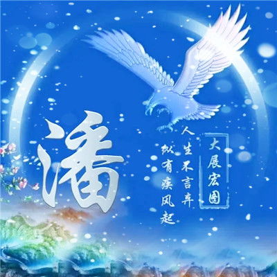 大展宏图姓氏头像人生不言弃纵有疾风起