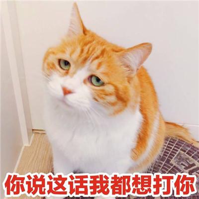 小哥哥,聊天吗表情包