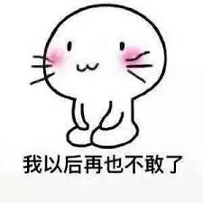 卑微道歉表情包
