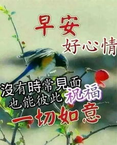 12月5日问候早上好图片带字动态表情冬天天冷早上好图片问候祝福语句子