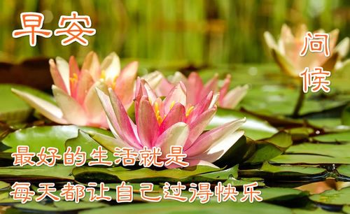最新版早安问候语动态图片表情清晨早上好问候祝福动态表情图片