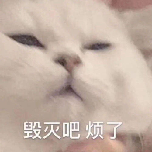 少女的表情包仓库又上新啦