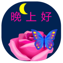 晚安祝福语晚上好动态表情图片