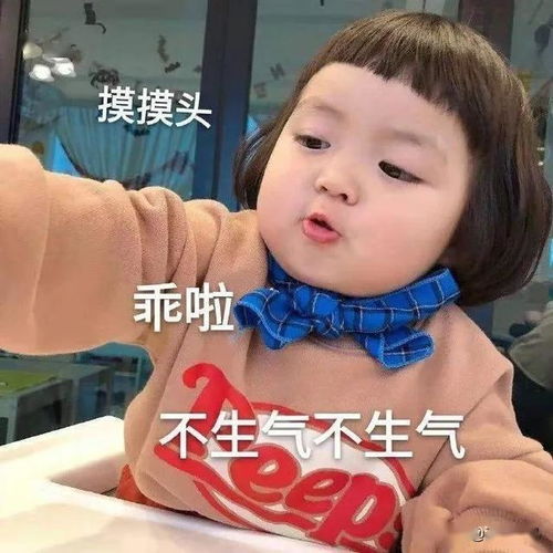 表情包我能有多骄傲,敲敲键盘打嘴泡