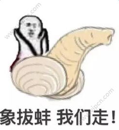 龙女士表情包什么梗象拔蚌