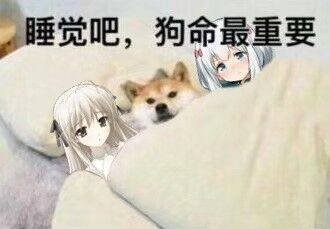 抖音最火表情包i你要照顾好自己