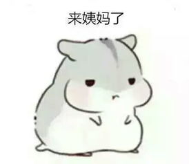 求小仓鼠表情包,最好是对男票专用的oo