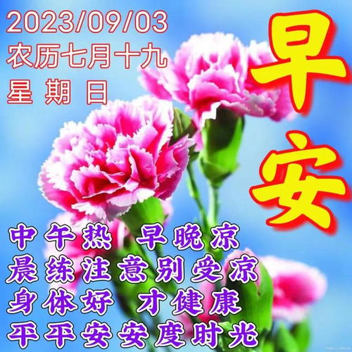 2023年9月3日周日早上好,早安创意祝福图片大全,早安表情包问候祝福语