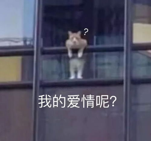 年底的好消息深大人持续了一学期的快乐要被延长了深大快讯